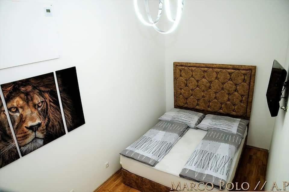 Markopolo Apartments فيينا المظهر الخارجي الصورة